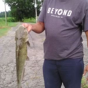 Meet your Posher, Anthony